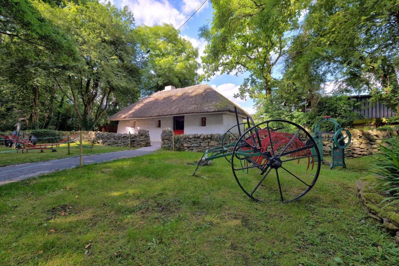 Silken Thomas Accommodation Kildare Zewnętrze zdjęcie